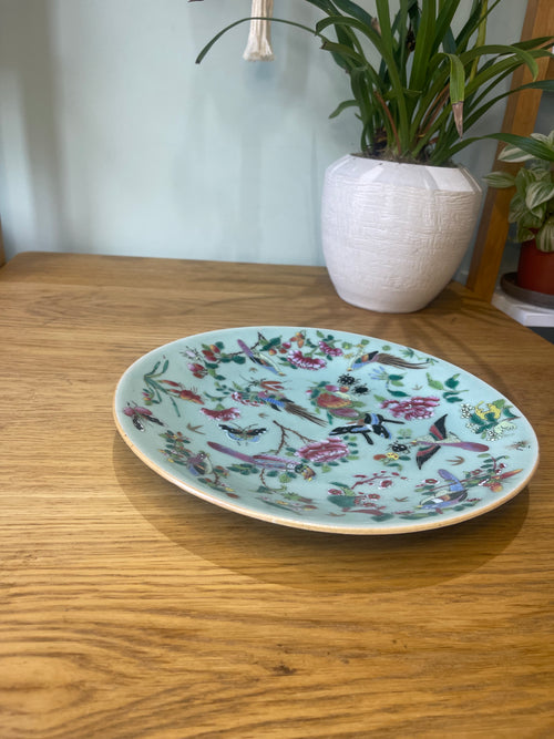 Chinese famille rose celadon plate